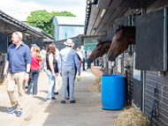 PN210822-170 - Paul Nicholls Stable Visit